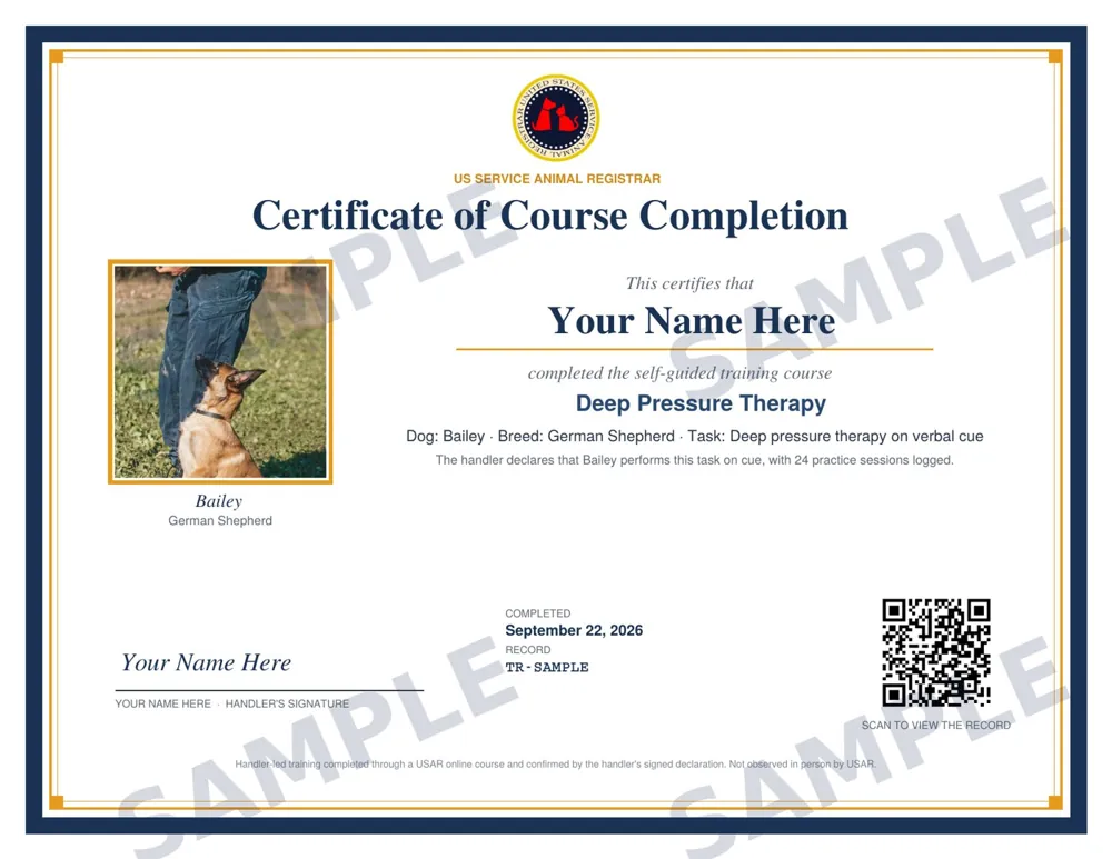 Sample certificate of course completion