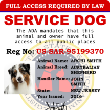 national service dog registry