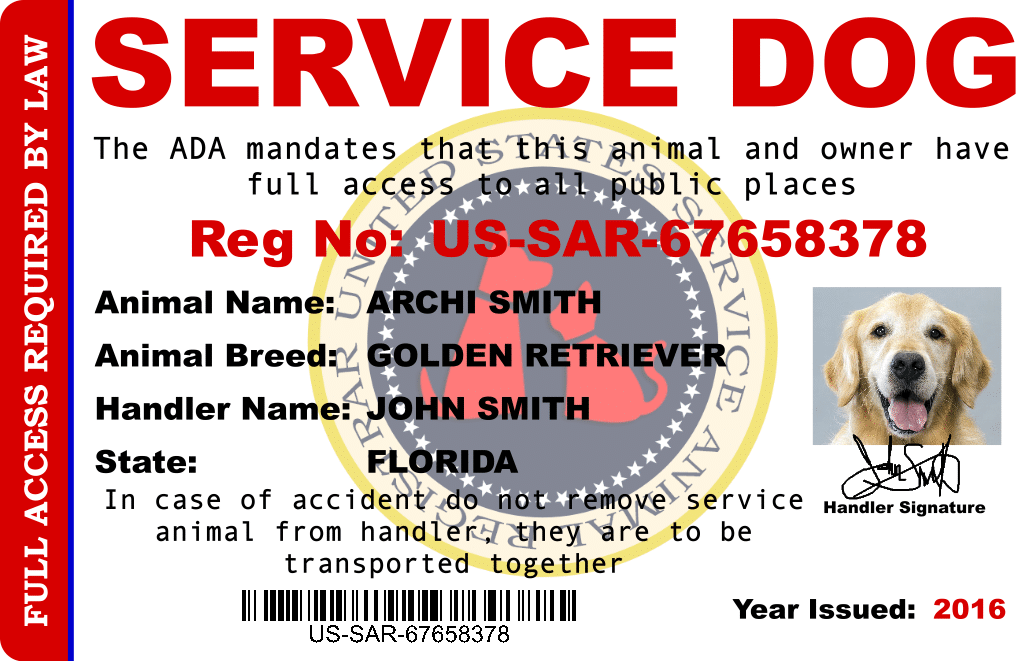How to Register Service Dog Now 2020 US Service Animal