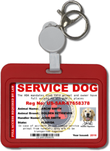 Red Plastic ID Badge Holder