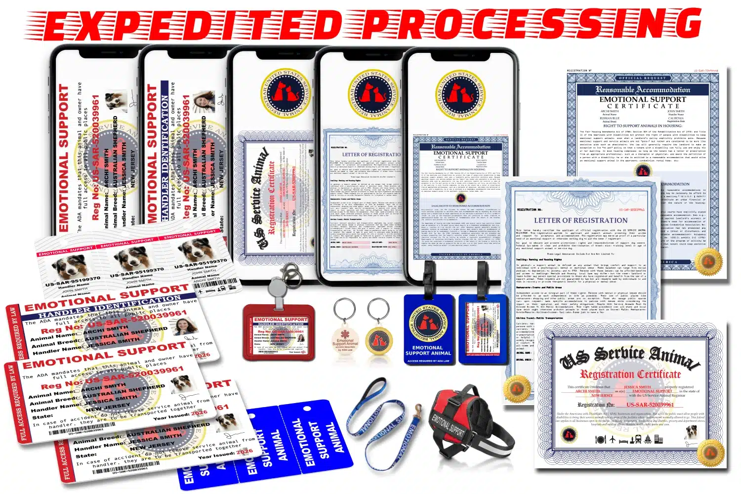 ESA Elite Registration Package showing smartphones with digital documents, printed gold-seal certificates and letters, red ESA harness, blue leash, plastic ID cards, triple harness tags, luggage tag, badge holder with retractable lanyard, and metal harness tag