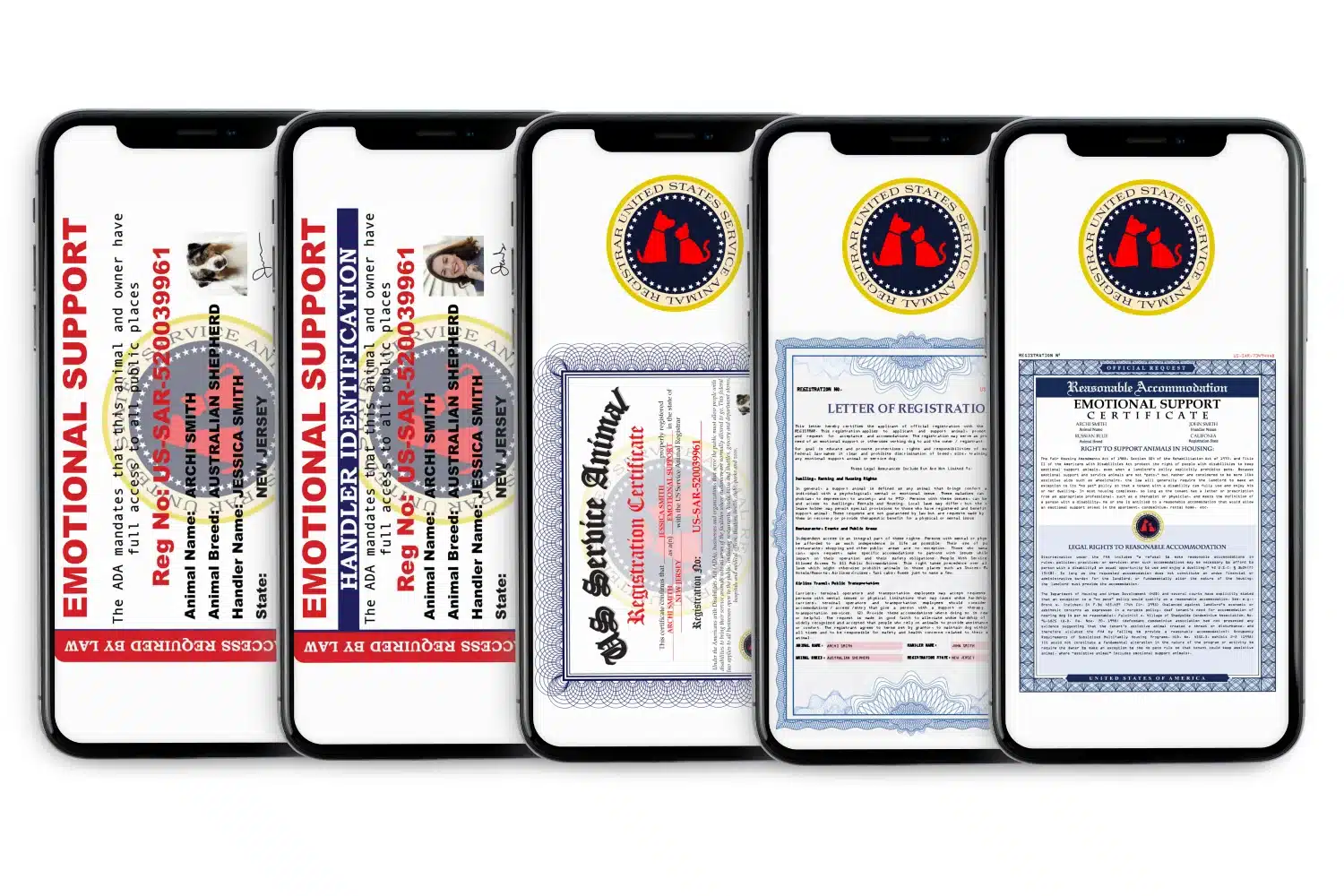 ESA Essential Registration Package displayed on five smartphones showing digital ID cards, registration certificate, letter of registration, and housing accommodation letter