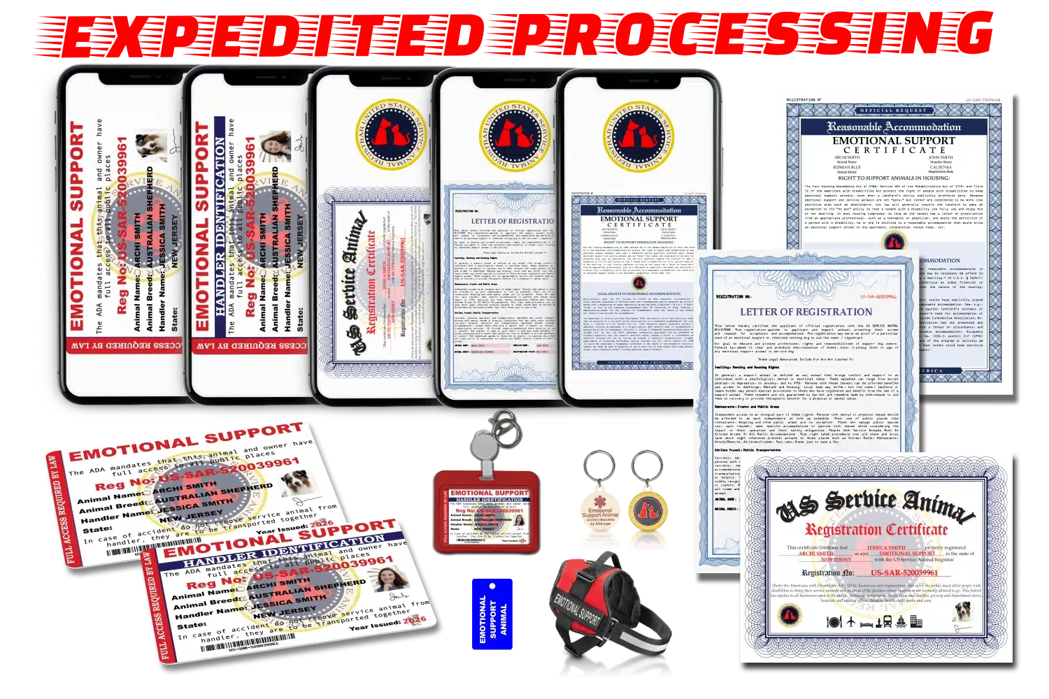 ESA Premium Registration Package showing smartphones with digital documents, printed certificates and letters, red ESA harness, plastic ID cards, badge holder, and metal harness tag