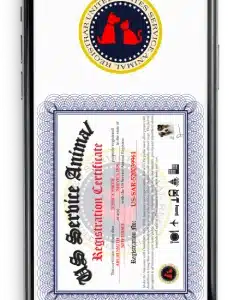 Registration Certificate