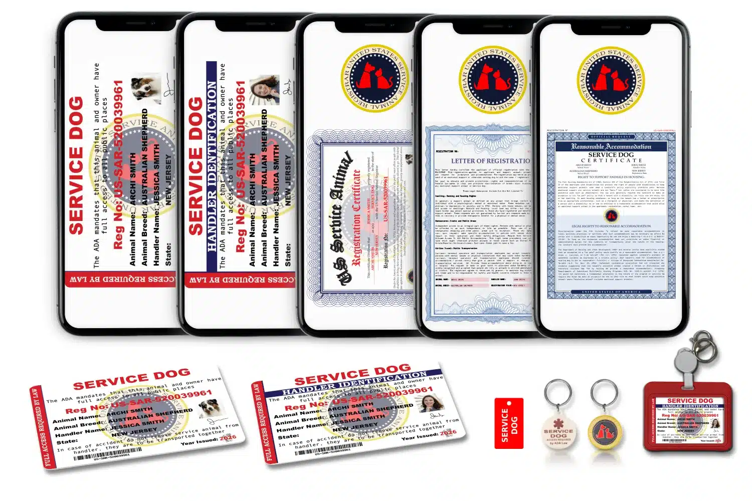 Service Dog Classic Registration Package — ID cards, certificate, tags, harness