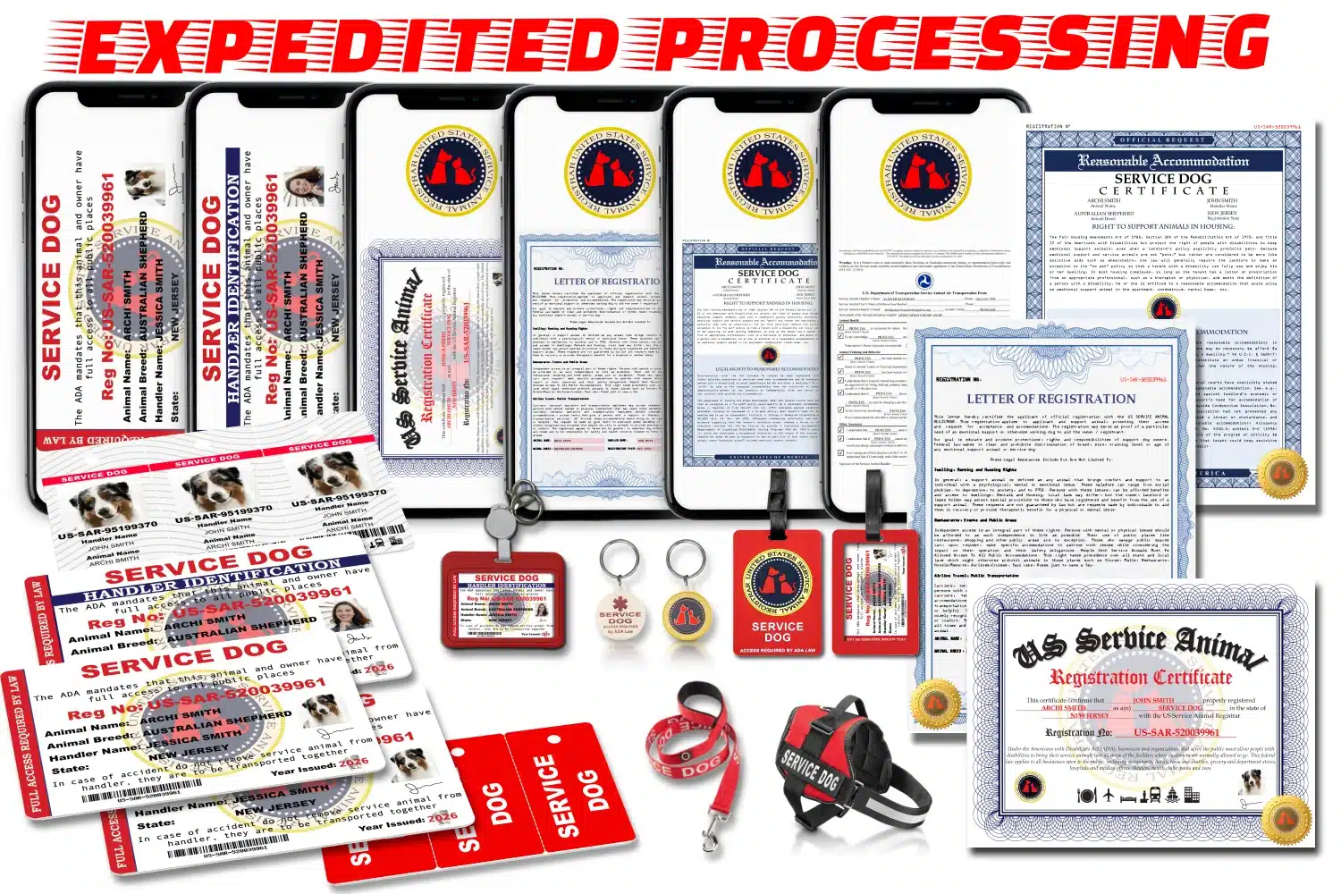 Service Dog Elite Registration Package showing smartphones with digital documents, printed gold-seal certificates and letters, red harness and leash, plastic ID cards, triple harness tags, luggage tag, badge holder with retractable lanyard, metal harness tag, and pre-filled DOT airline forms
