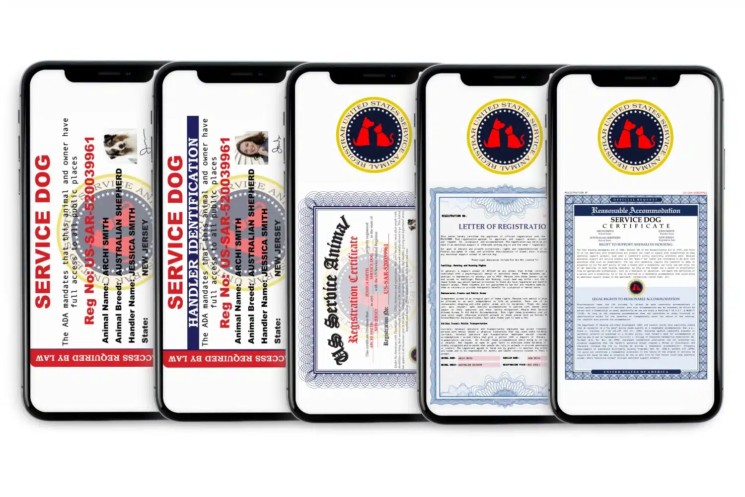 Service Dog Essential Registration Package displayed on five smartphones showing digital ID cards, registration certificate, letter of registration, and public access documentation