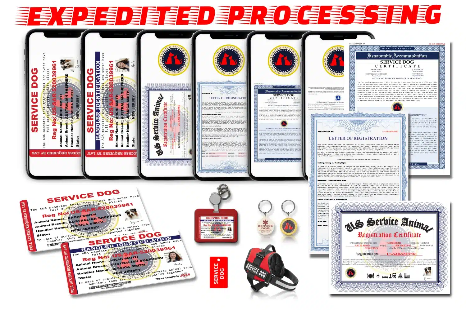 Service Dog Premium Registration Package showing smartphones with digital documents, printed certificates and letters, red service dog harness, plastic ID cards, badge holder, metal harness tag, and pre-filled DOT airline forms