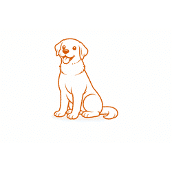 Sample Image Component