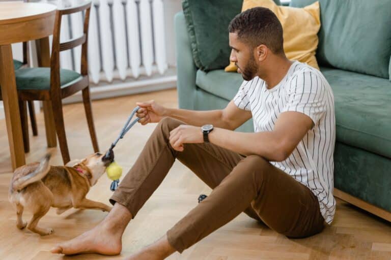 Open & Close Doors — online service dog training course